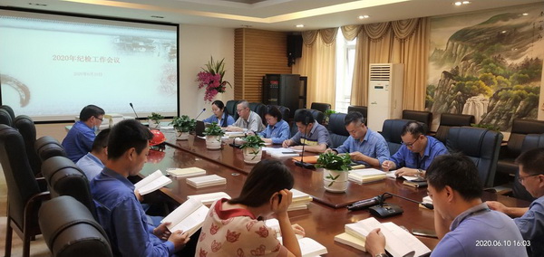 东南电化公司召开2020年纪检监察工作会议_调整大小.jpg